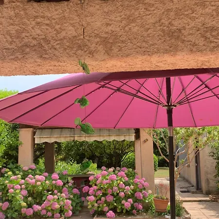 Appartement La Maison De Suzy Saint-Tropez